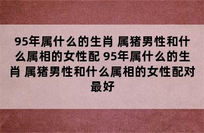 95年属什么的生肖 属猪男性和什么属相的女性配 95年属什么的生肖 属猪男性和什么属相的女性配对最好